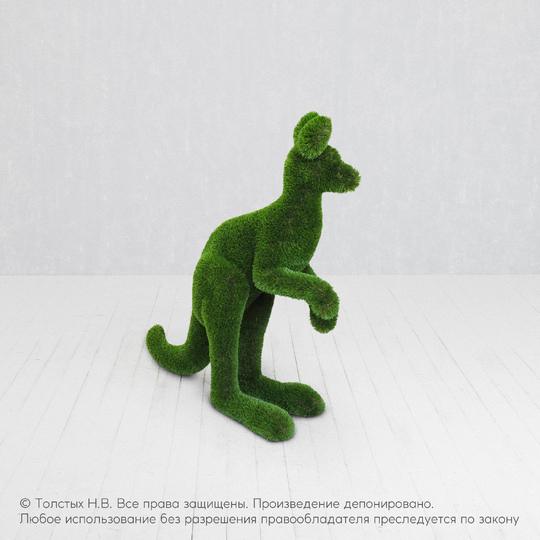 Кенгурёнок